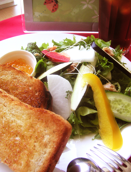 20100517saladai.jpg