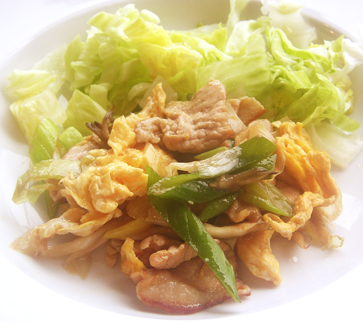 pig-shougai.jpg